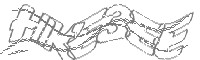 Check code